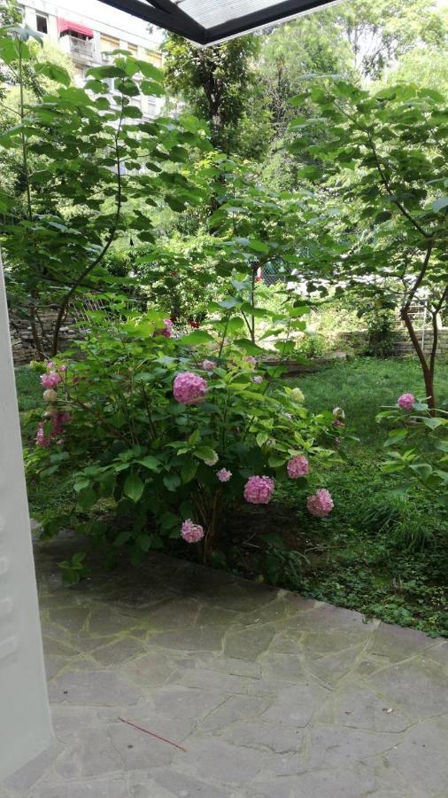 Appartement Vracar Krunska Jamiva à Belgrade Extérieur photo