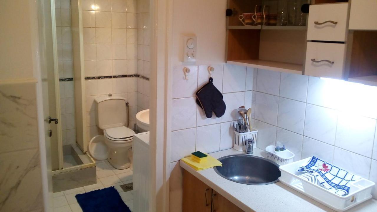 Appartement Vracar Krunska Jamiva à Belgrade Extérieur photo